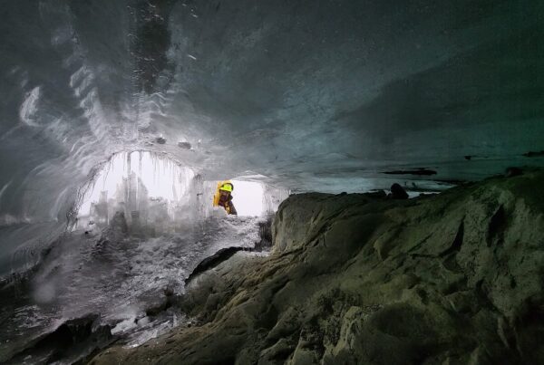 Will I See Snow on the Rwenzori Mountains? A Complete Guide to Equatorial Snow & Glaciers