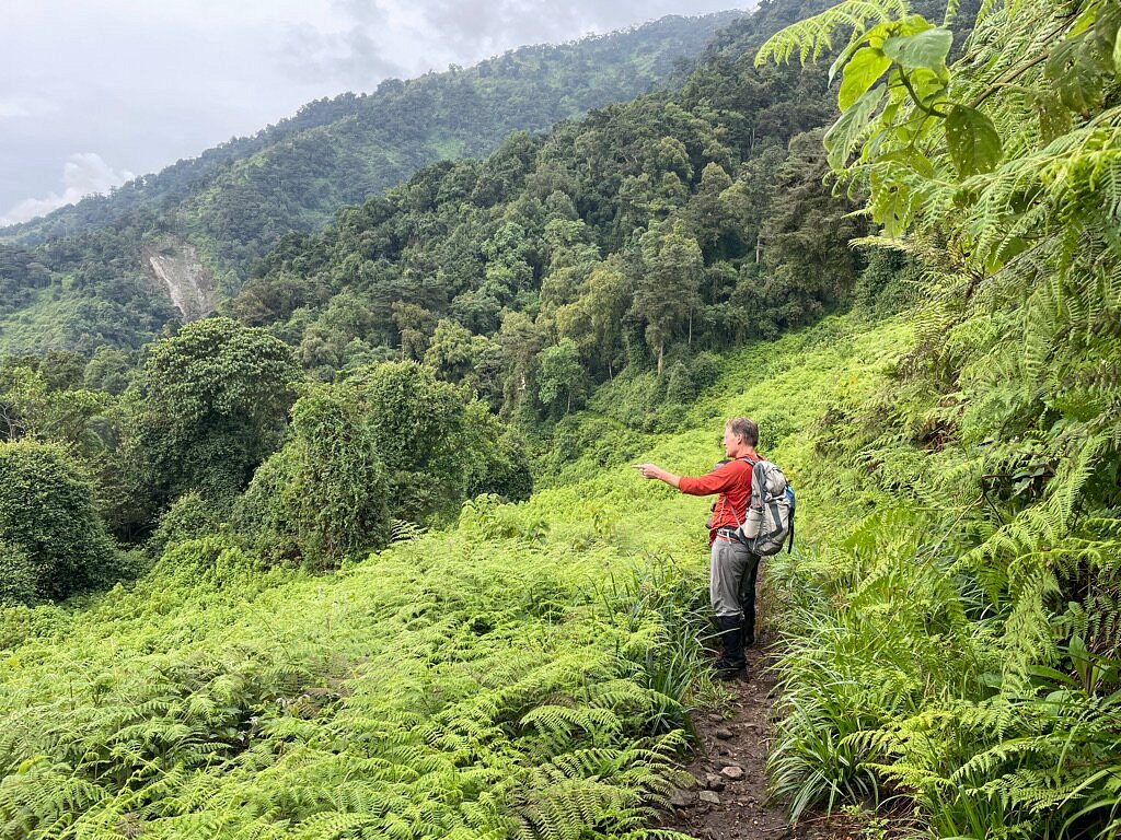 Can I Trek the Rwenzori in the Rainy Season? An Expert Guide to Wet-Season Trekking on the Mountains of the Moon