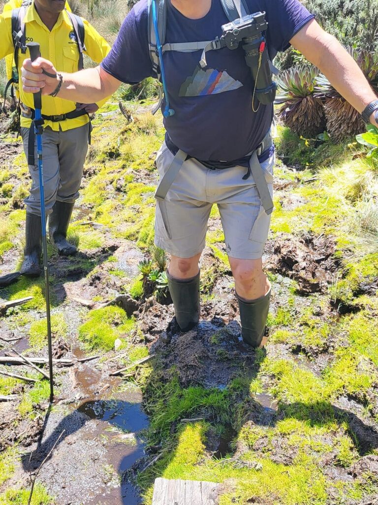 Does It Rain a Lot in the Rwenzori Mountains? A Guide to Weather, Seasons & What Every Trekker Must Know Before They Go