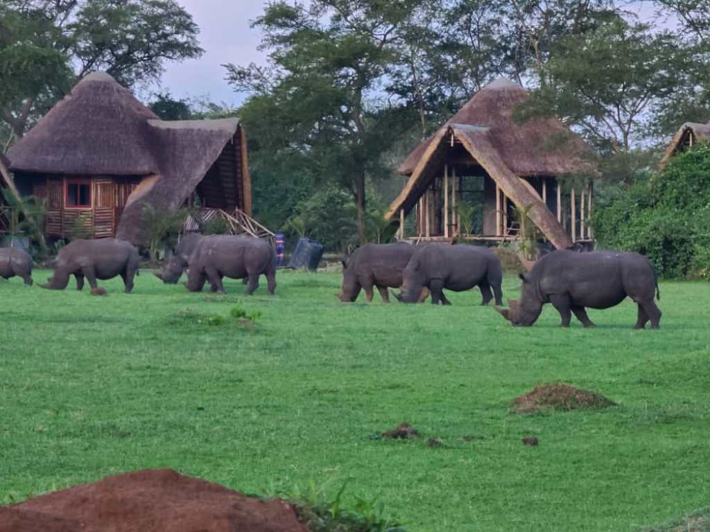 Where to Stay in Ziwa Rhino Sanctuary.