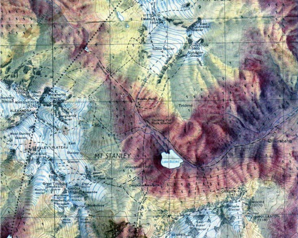 aerial view from the summit of Margherita Peak