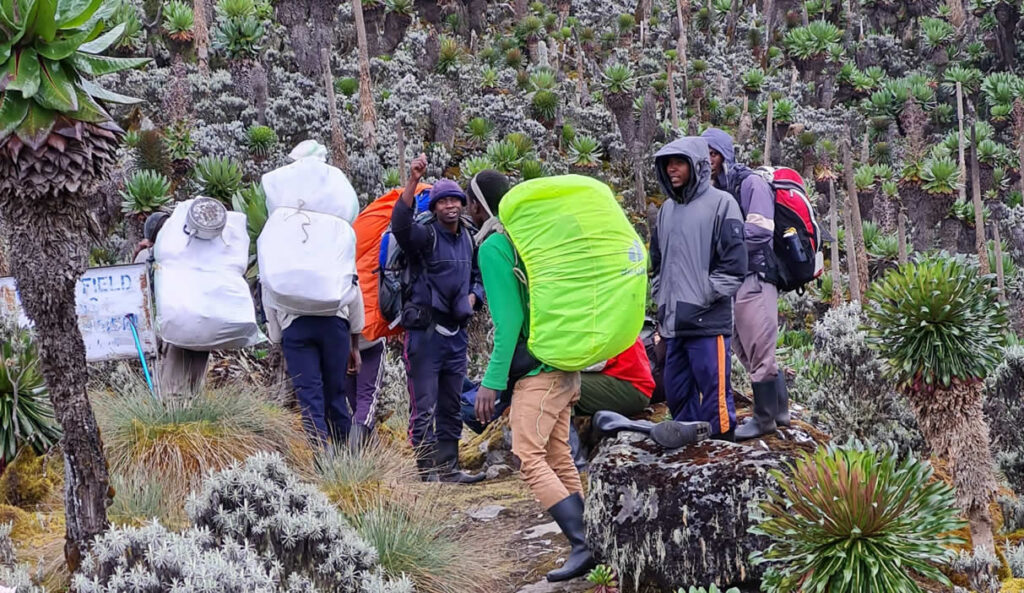 How Much to Tip Your Rwenzori Porters and Guides