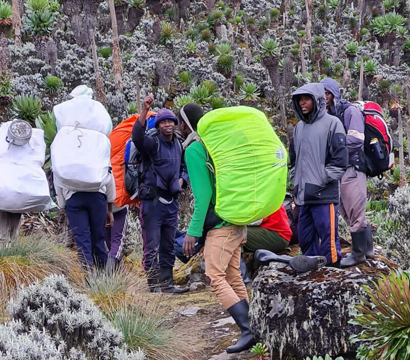 How Much to Tip Your Rwenzori Porters and Guides