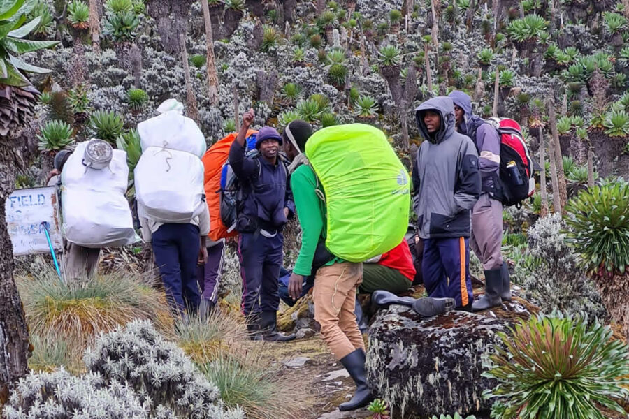 How Much to Tip Your Rwenzori Porters and Guides