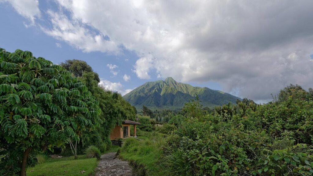 volcanoes national park rwanda