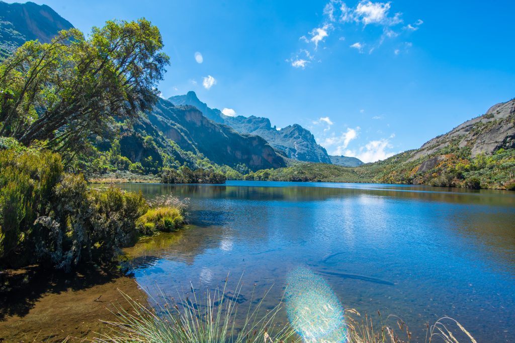 Rwenzori Marathon & Central Circuit Trek: The Ultimate 14-Day Uganda Expedition