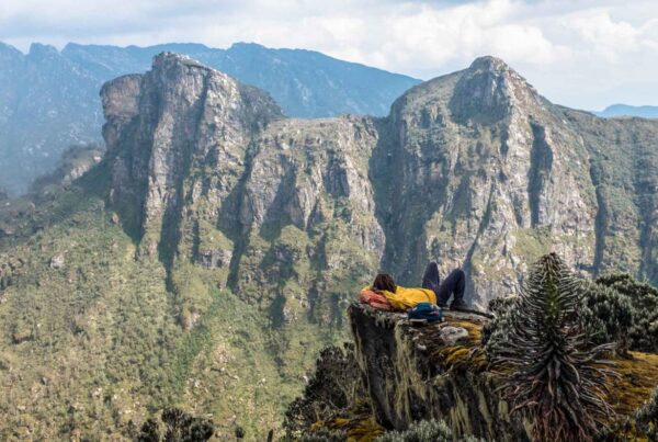 Rwenzori Mountains Photography Guide: Tips for Shooting in Mud, Mist, and Altitude