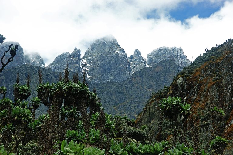 Rwenzori Mountains: The Complete Guide | Africa's Mountains of the Moon