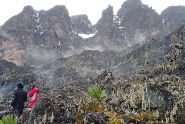 Who Climbed the Rwenzori Mountains First?