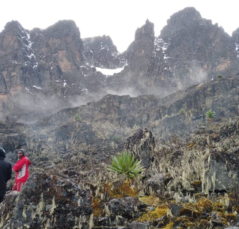 Who Climbed the Rwenzori Mountains First?