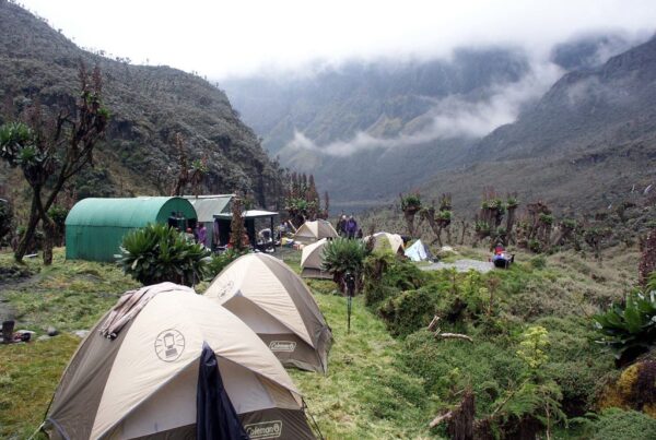 Rwenzori Huts: Food, Toilets, Sleep & Reality