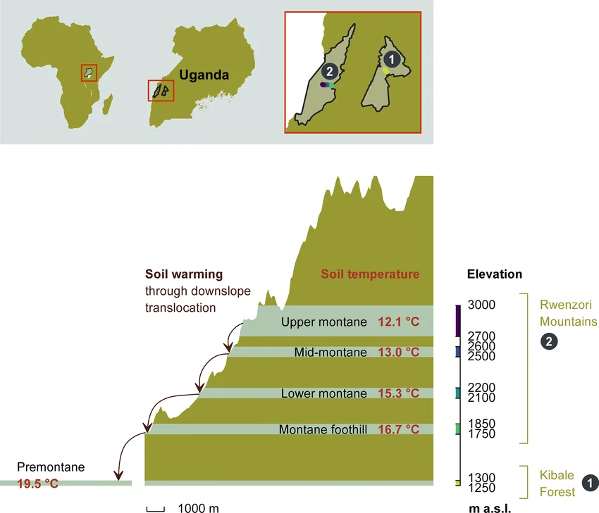 Elevation Profile Summary: Rwenzori Mountains