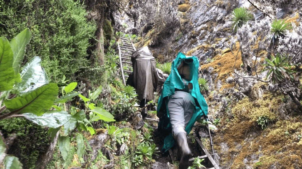 Rwenzori Trekking Routes & Hiking Trails | Expert Guide 