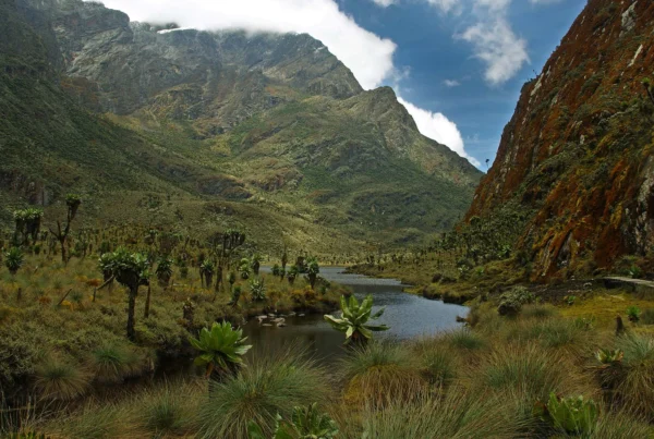 Kitandara Lakes: Rwenzori's Most Beautiful Spot