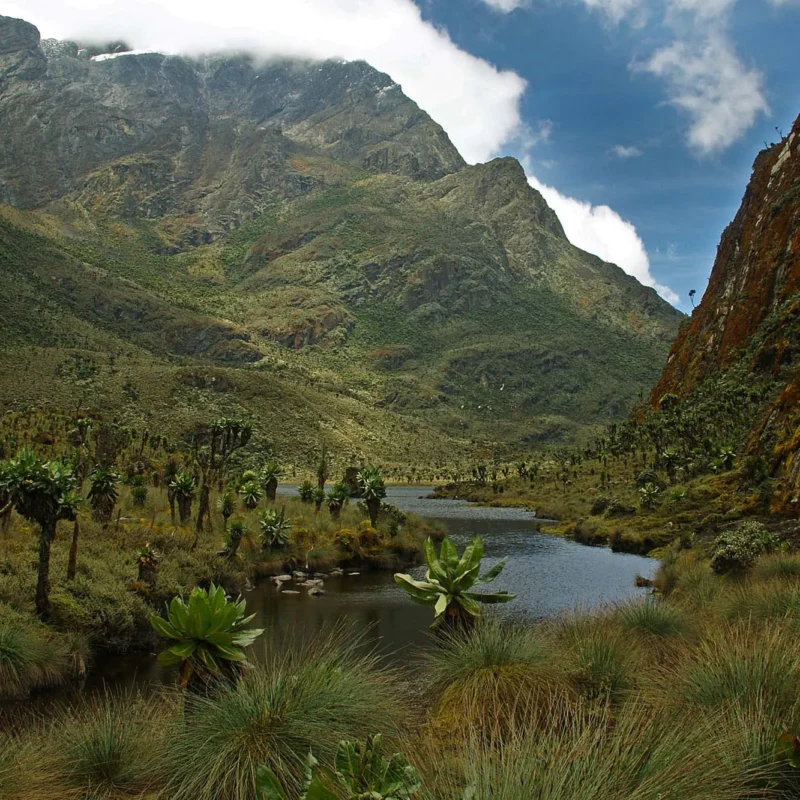 Kitandara Lakes: Rwenzori's Most Beautiful Spot