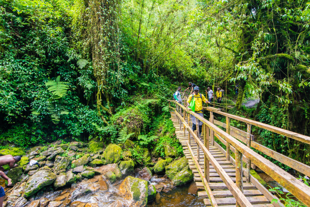 Mubuku River crossing