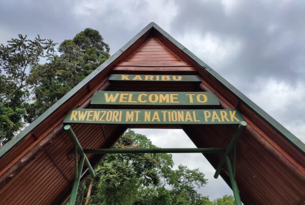 What Is Rwenzori Mountains National Park? 8 Mihunga gate Rwenzori mountain