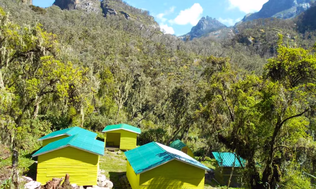 What to Expect When You Hike the Rwenzori Mountains? 5 RTS Kiharo Camp 1024x614 1