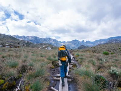 6 Days Rwenzori Trek Weismann Peak